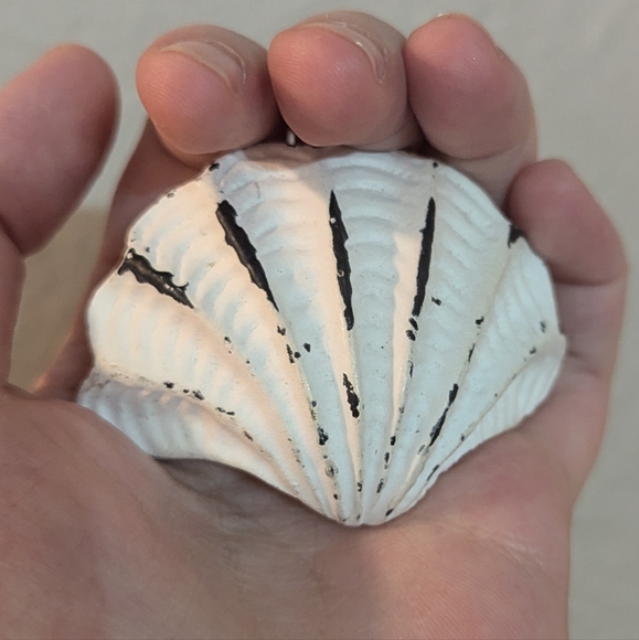 Seashell Knob - Picture 7 of 8